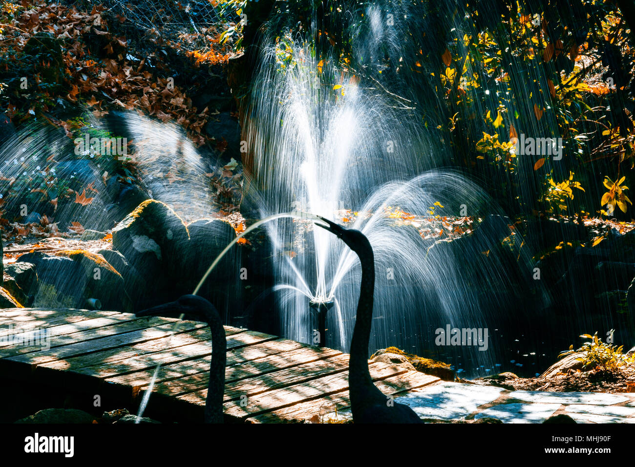 Fontaine dans un beau jardin d'automne Banque D'Images