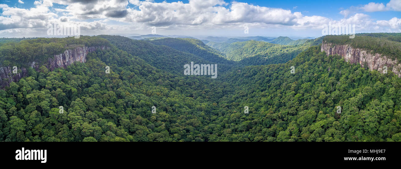 Parc national de Springbrook - UNESCO World Heritage Area. Queensland, Australie Banque D'Images