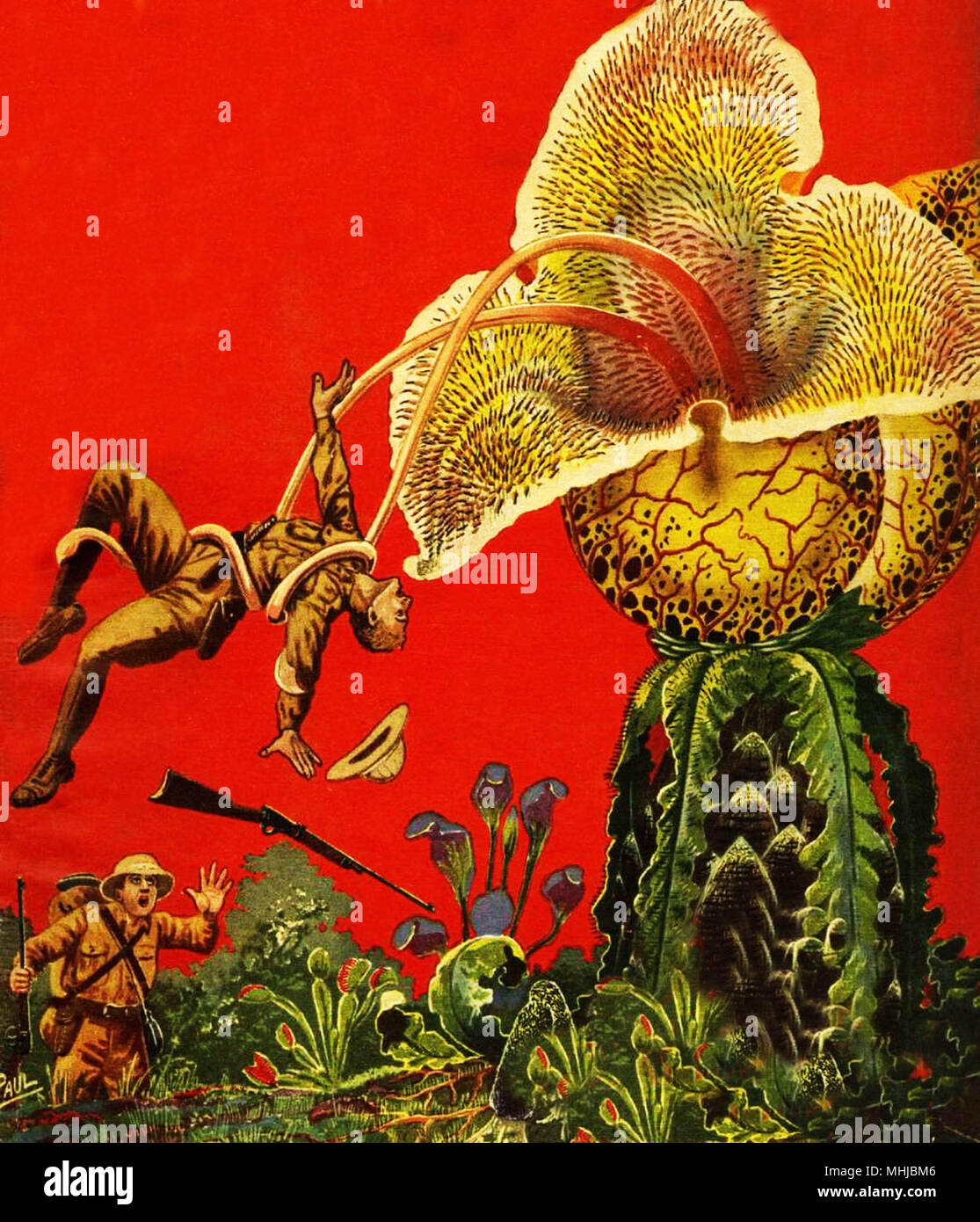 Illustration fantasy Banque D'Images