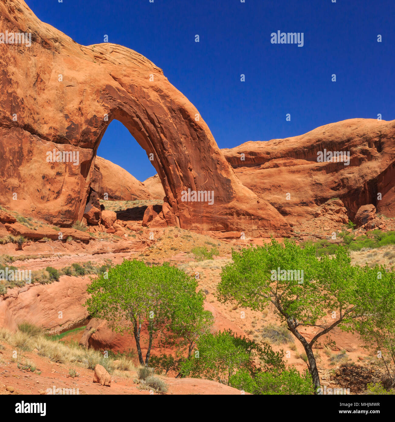 Broken Bow arch dans le Glen Canyon National Recreation Area près de Escalante, Utah Banque D'Images