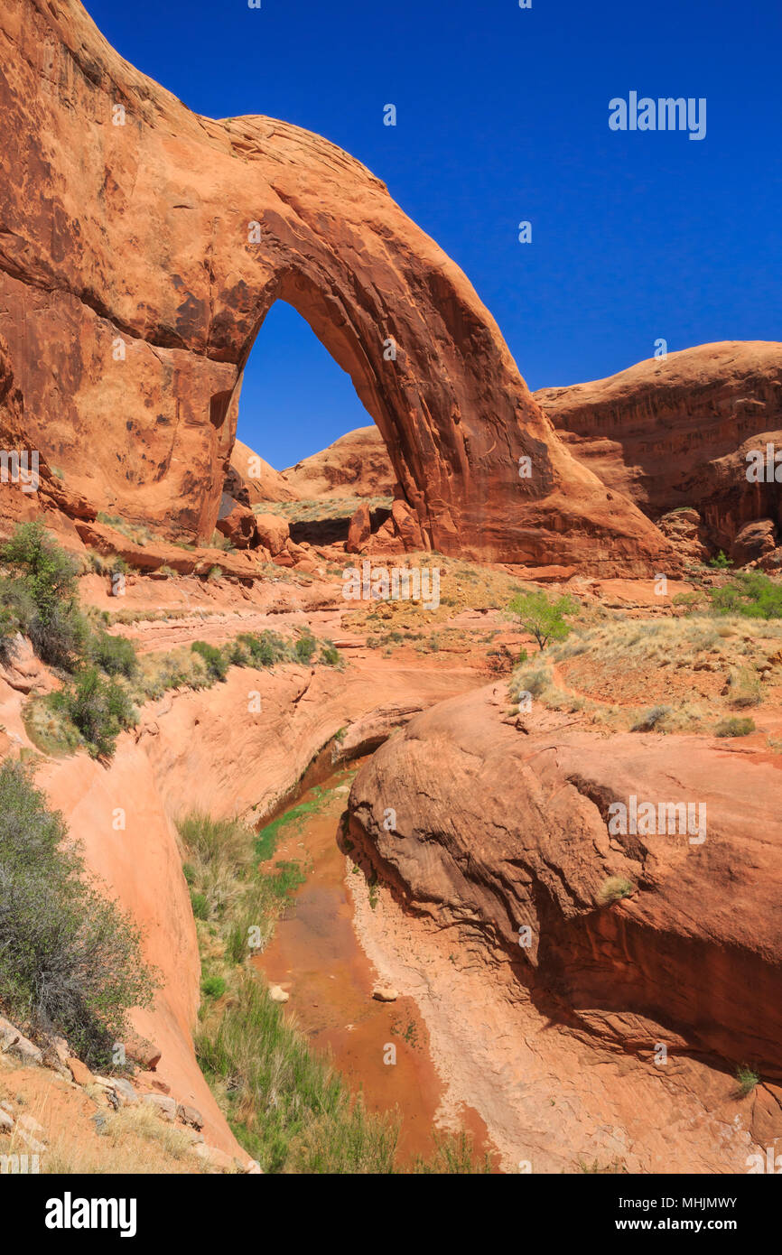 Broken Bow arch dans le Glen Canyon National Recreation Area près de Escalante, Utah Banque D'Images