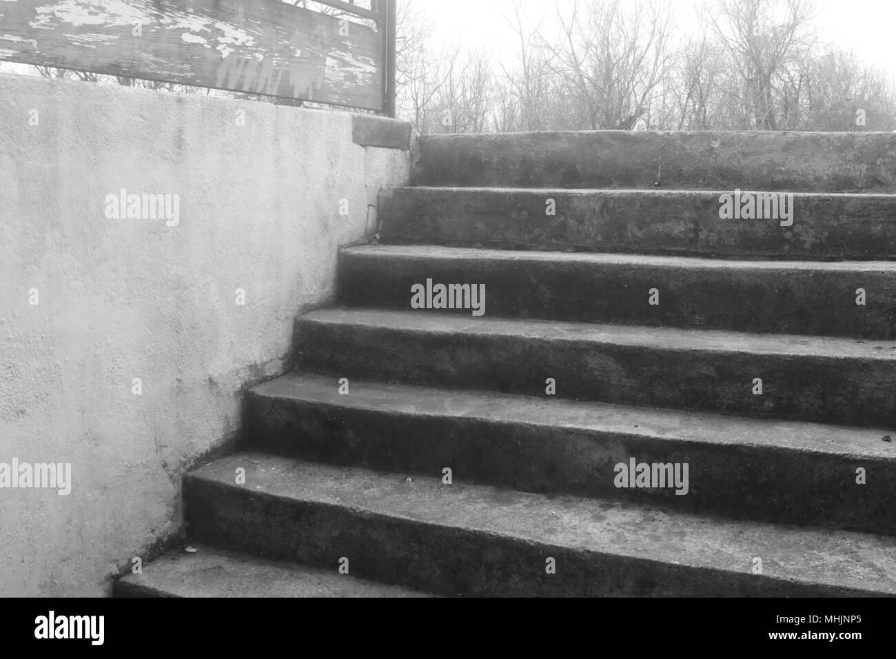 Photo en noir et blanc de vieux escaliers en béton menant à une entrée de sous-sol un mur de soutènement. Rural Missouri, Mo, États-Unis, États-Unis, États-Unis Banque D'Images