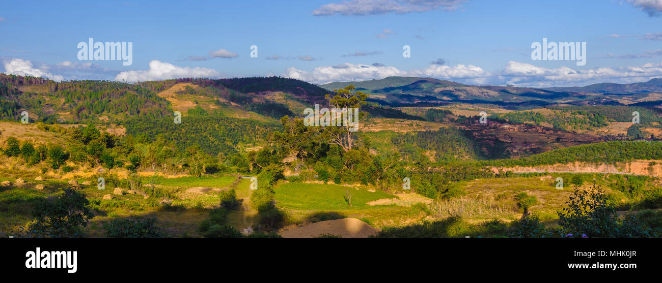 Nature de Madagascar Banque D'Images