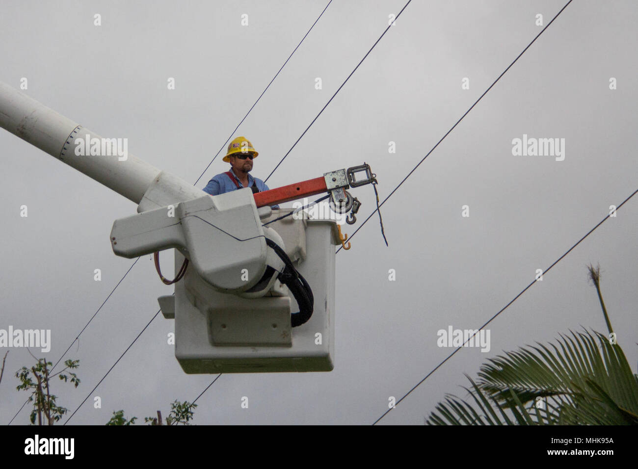 Les équipes de travail dans les lignes électriques réparation d'une montagne à Naranjito. À compter du 26 mars 2018, plus de 94 pour cent des clients de Porto Rico ont le pouvoir restauré. Les six autres pour cent sont situés principalement dans les régions montagneuses. Malgré les difficultés d'accès et de transport, les équipes de travail sur l'île se concentrent leurs efforts dans ces régions éloignées, avec l'objectif d'atteindre 95  % de la restauration de ces régions à la fin de mai. Banque D'Images