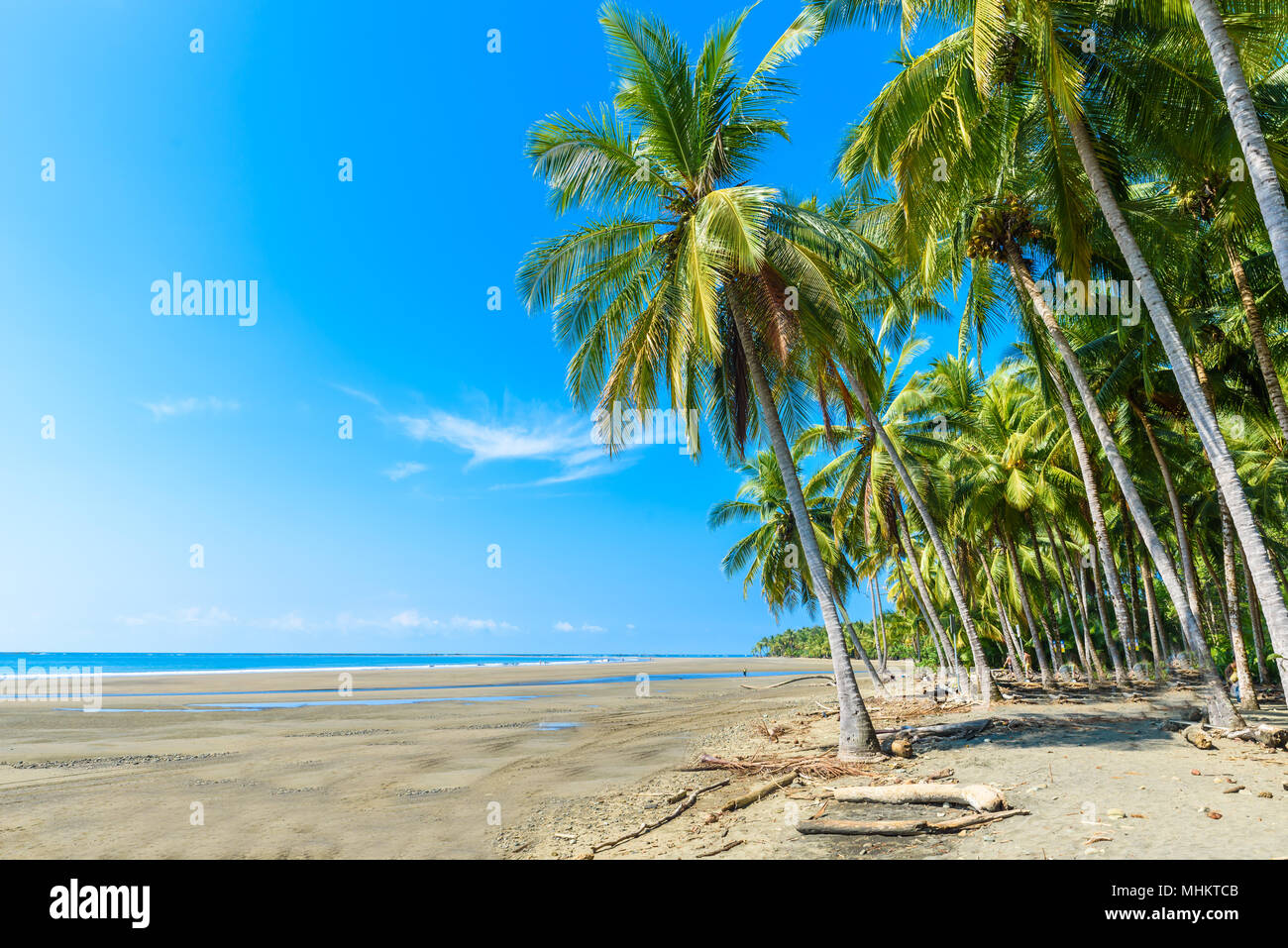 Parc national Marino Ballena dans Uvita - Punta Uvita - belles plages et la forêt tropicale à la côte pacifique du Costa Rica Banque D'Images