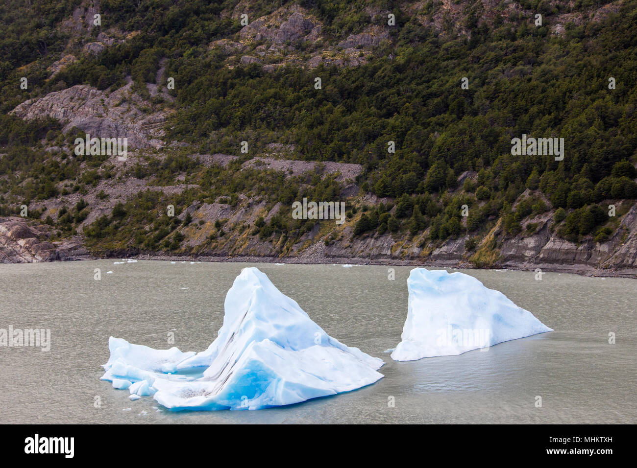 Des morceaux de glace qui s'est du glacier, lac Grey, Parc National Torres del Paine, Patagonie, Chili Banque D'Images