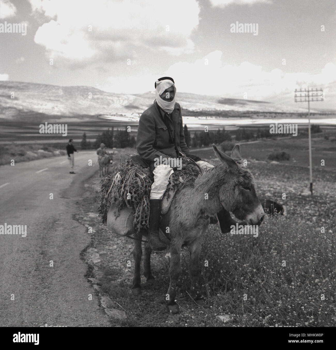 Années 1950, photo historique montrant un homme bédouins nomades avec casquettes assis sur son âne avec sa charge de légumes racines par une route goudronnée dans le désert, Israël. dans le complexe et hostile de l'après-guerre en Israël, beaucoup de ces peuples nomades ont été soit transféré ou déplacé vers les pays voisins du Moyen-Orient. Banque D'Images