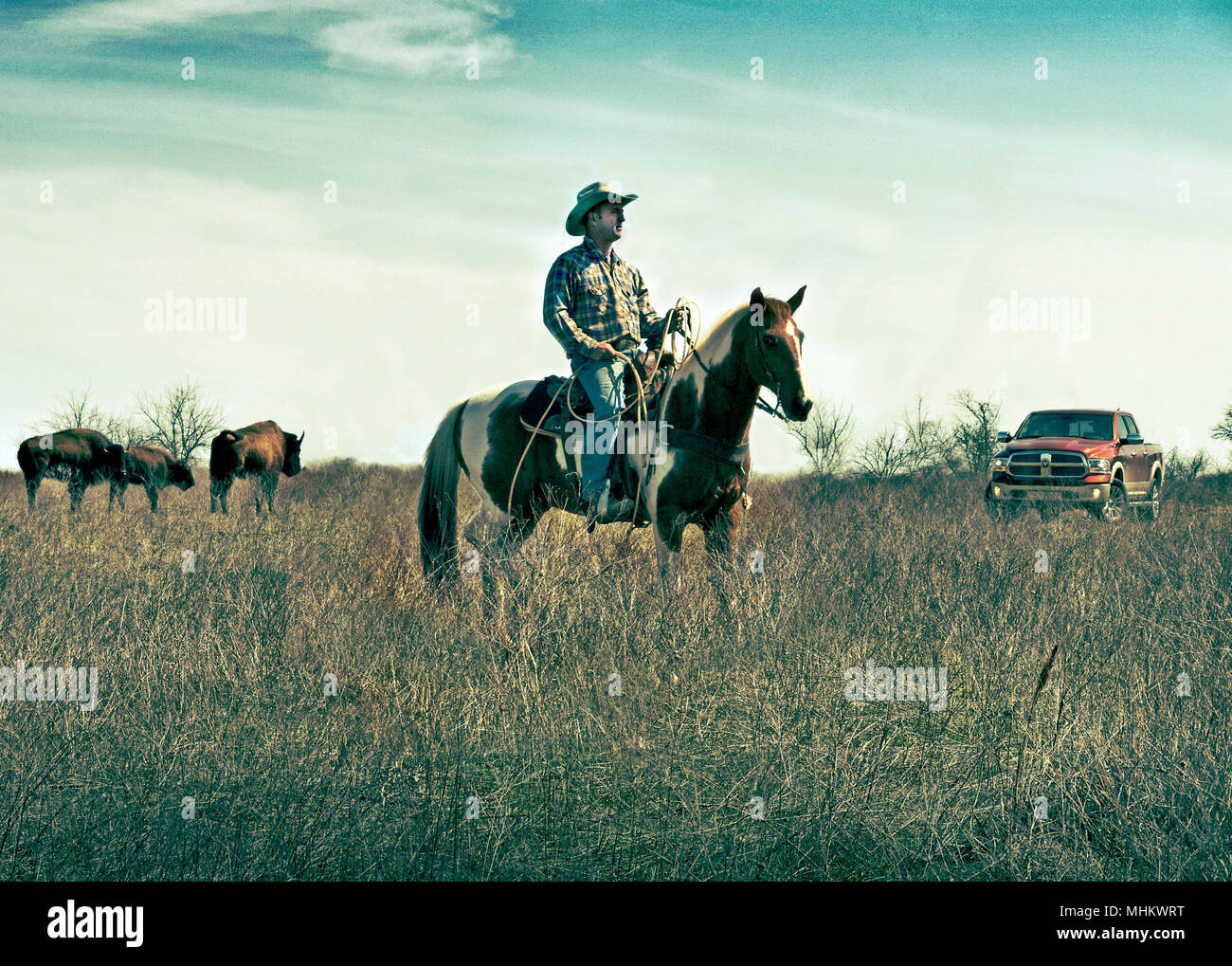 Dude ranch près de Huston Texas USA Banque D'Images