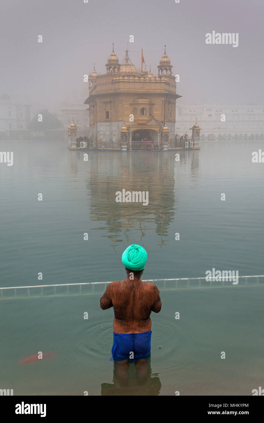 Pilgrim se baigner dans le bassin sacré Amrit Sarovar, Golden Temple, Amritsar, Punjab, India Banque D'Images