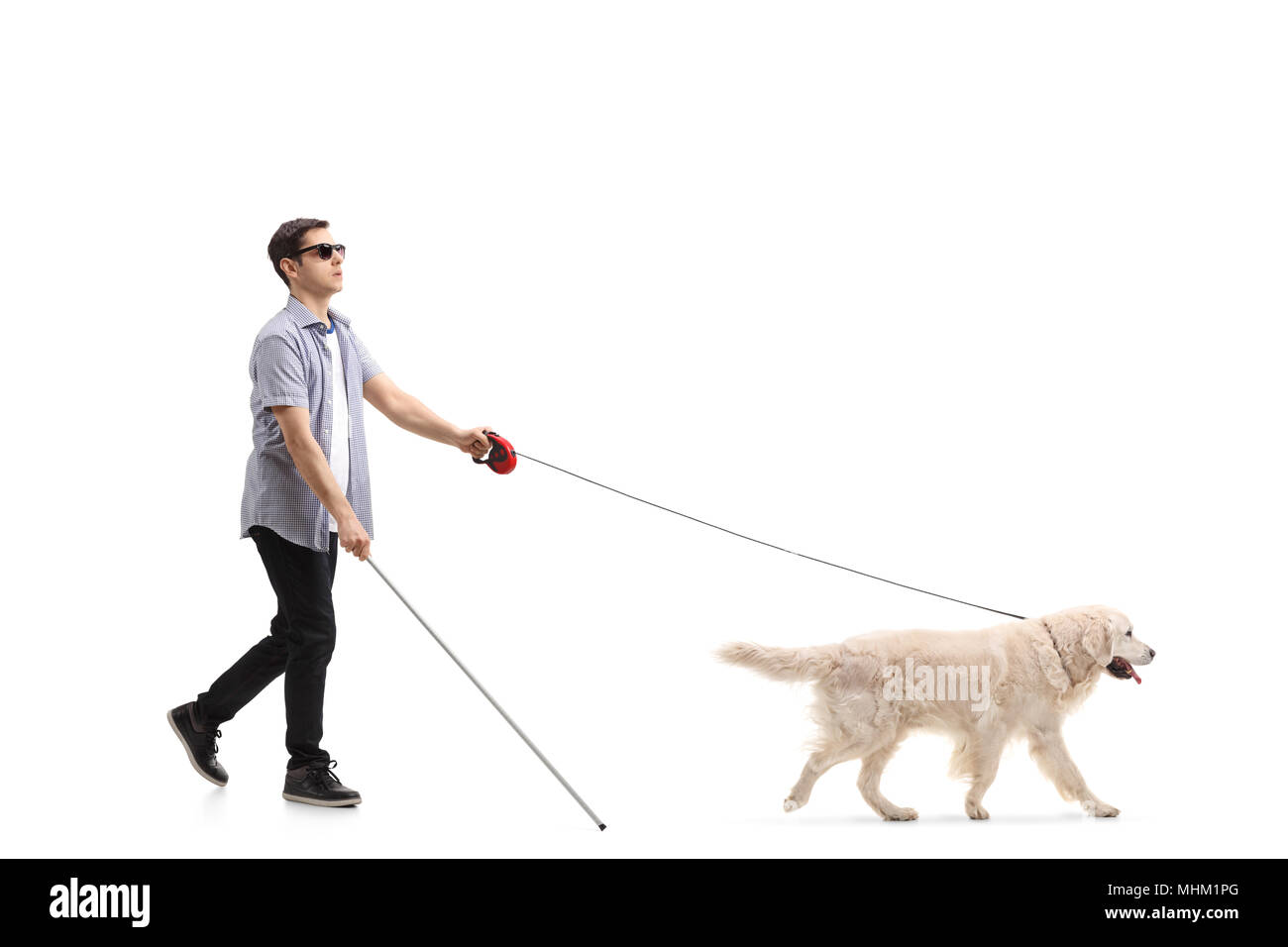 Profil de toute la longueur d'un jeune homme aveugle marche avec l'aide d'un chien isolé sur fond blanc Banque D'Images