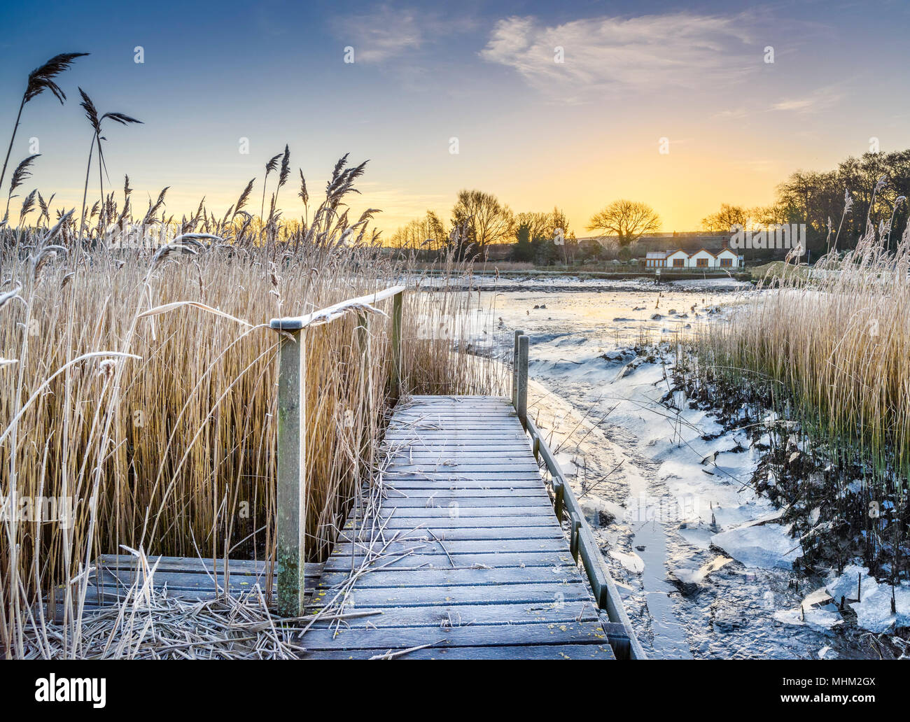 Frosty dawn jetée sur la rivière avec des roseaux Banque D'Images