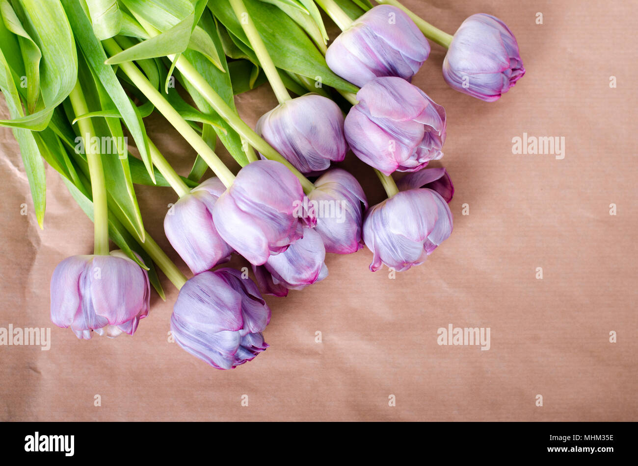 Magnifique bouquet de tulipes violet sur papier. Espace libre pour votre texte. Banque D'Images
