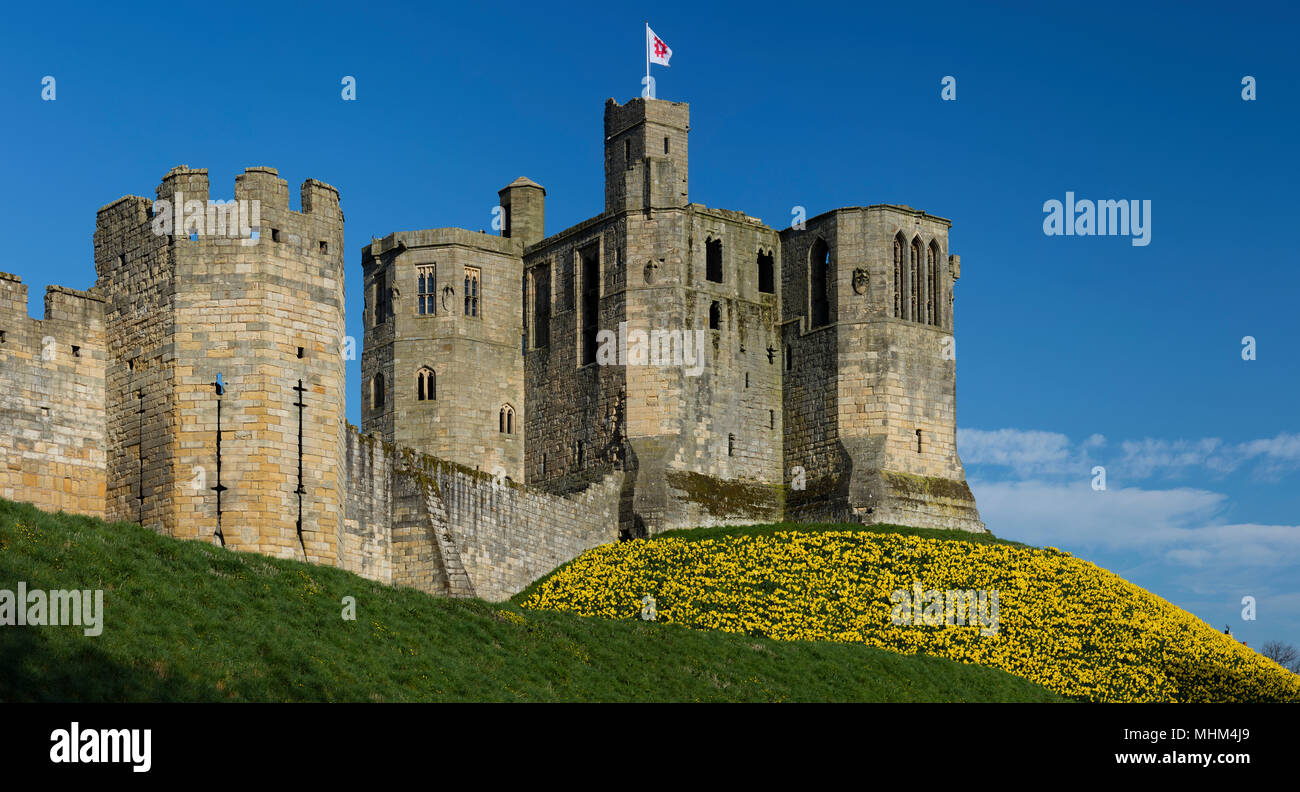 Château de Warkworth au printemps sous un ciel ensoleillé, Warkworth, Northumberland, Angleterre du Nord-Est, Royaume-Uni Banque D'Images