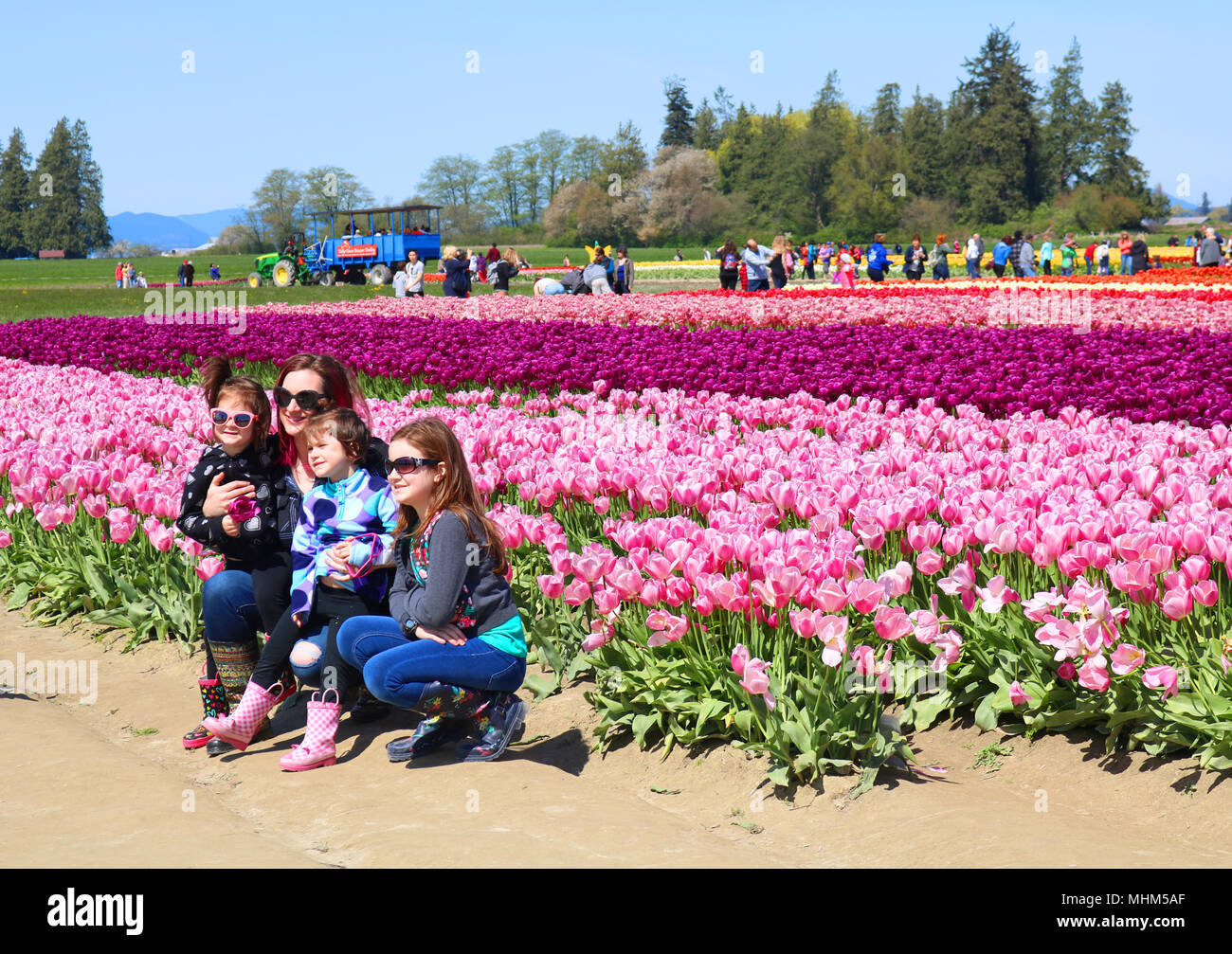 Mère et ses enfants posant pour des photos à Tulip Ville au cours de la vallée de la Skagit Tulip Festival à Mount Vernon, Washington, USA. Banque D'Images