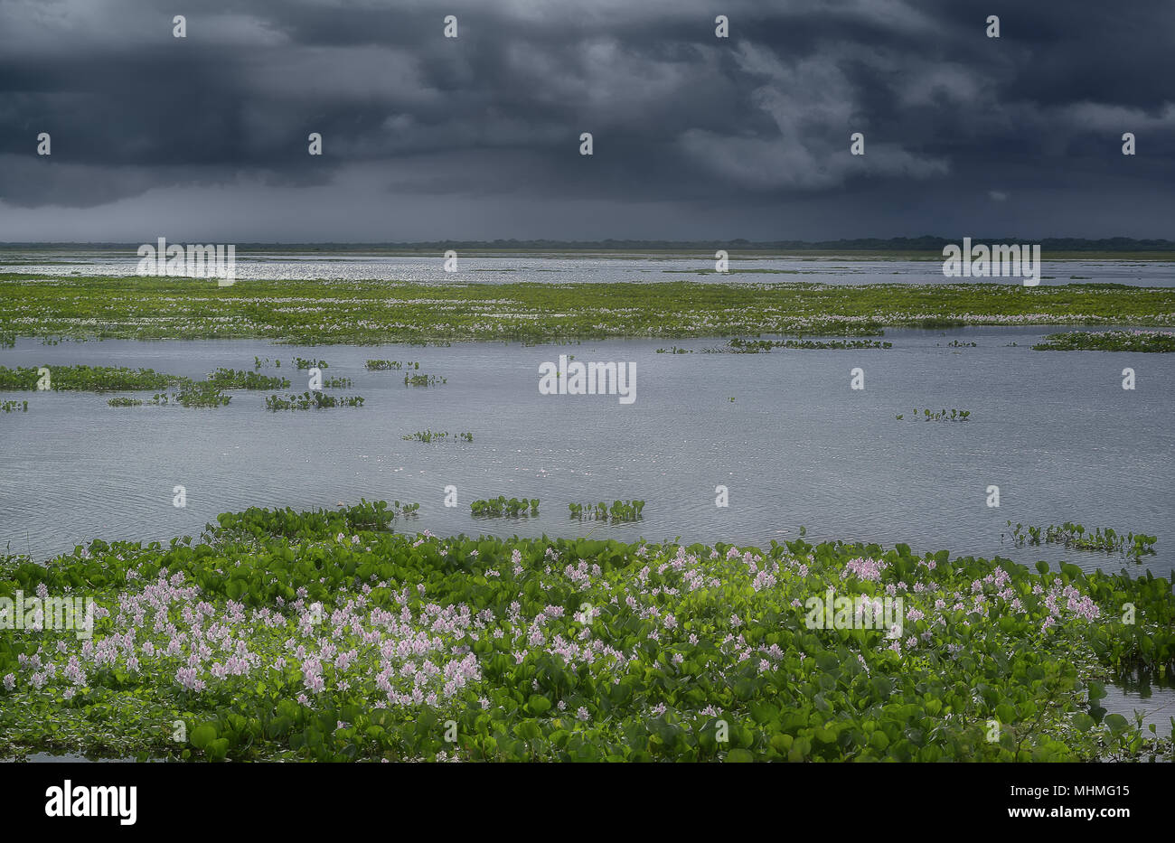 Vue sur le lac tropical avant la tempête. Banque D'Images