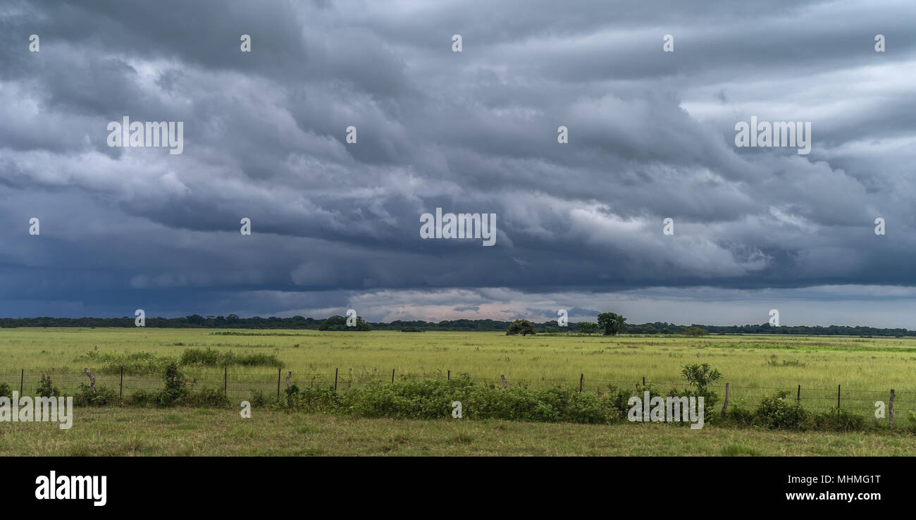 Vue sur pré vert sous les nuages de tempête. Banque D'Images
