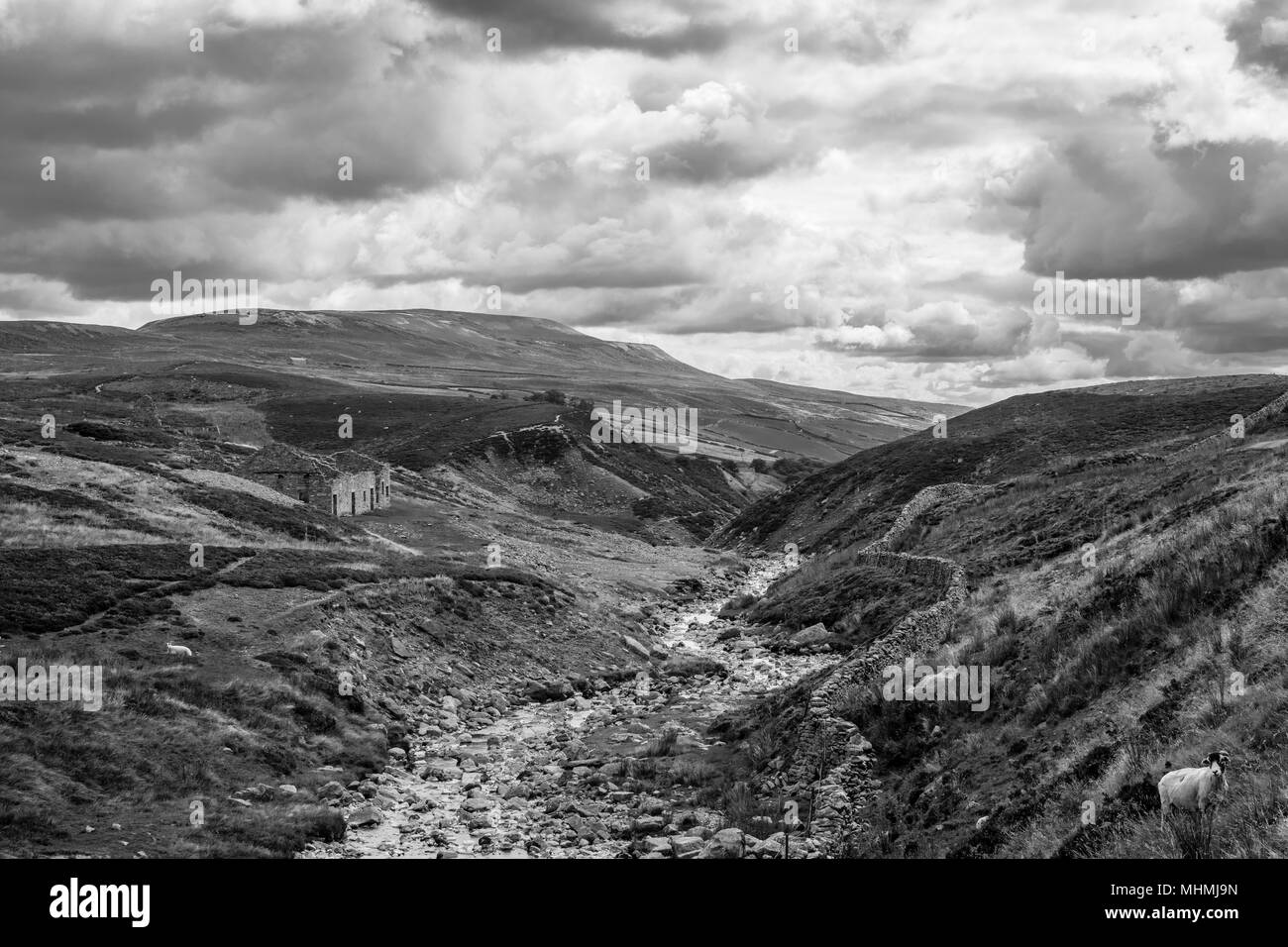 Belle photo de la North Yorkshire Dales, près de Langthwaite Banque D'Images