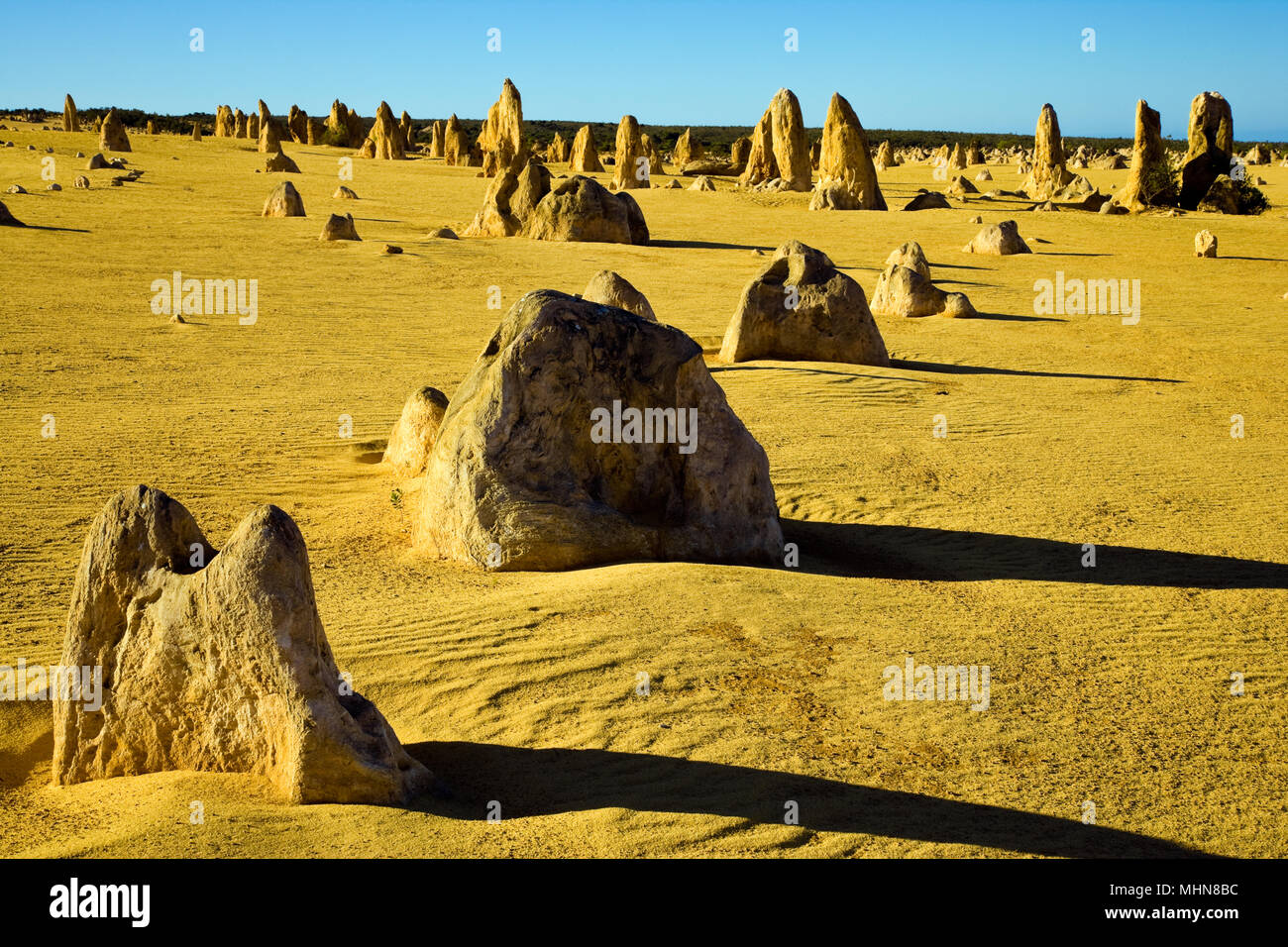 L'ouest de l'Australie ; les pinacles, le Parc National de Nambung Banque D'Images