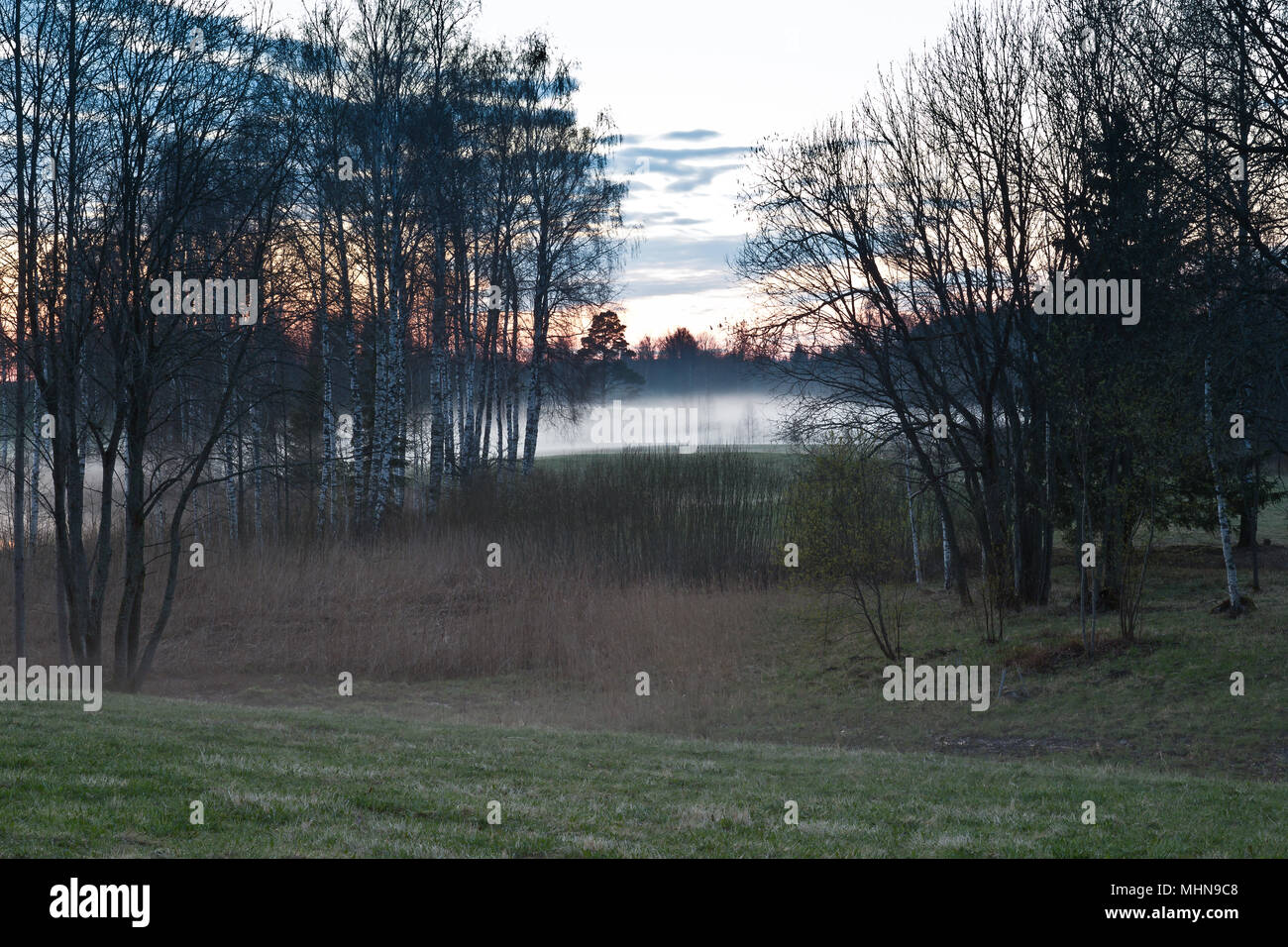 Misty sunset par le lac, la Lettonie Banque D'Images