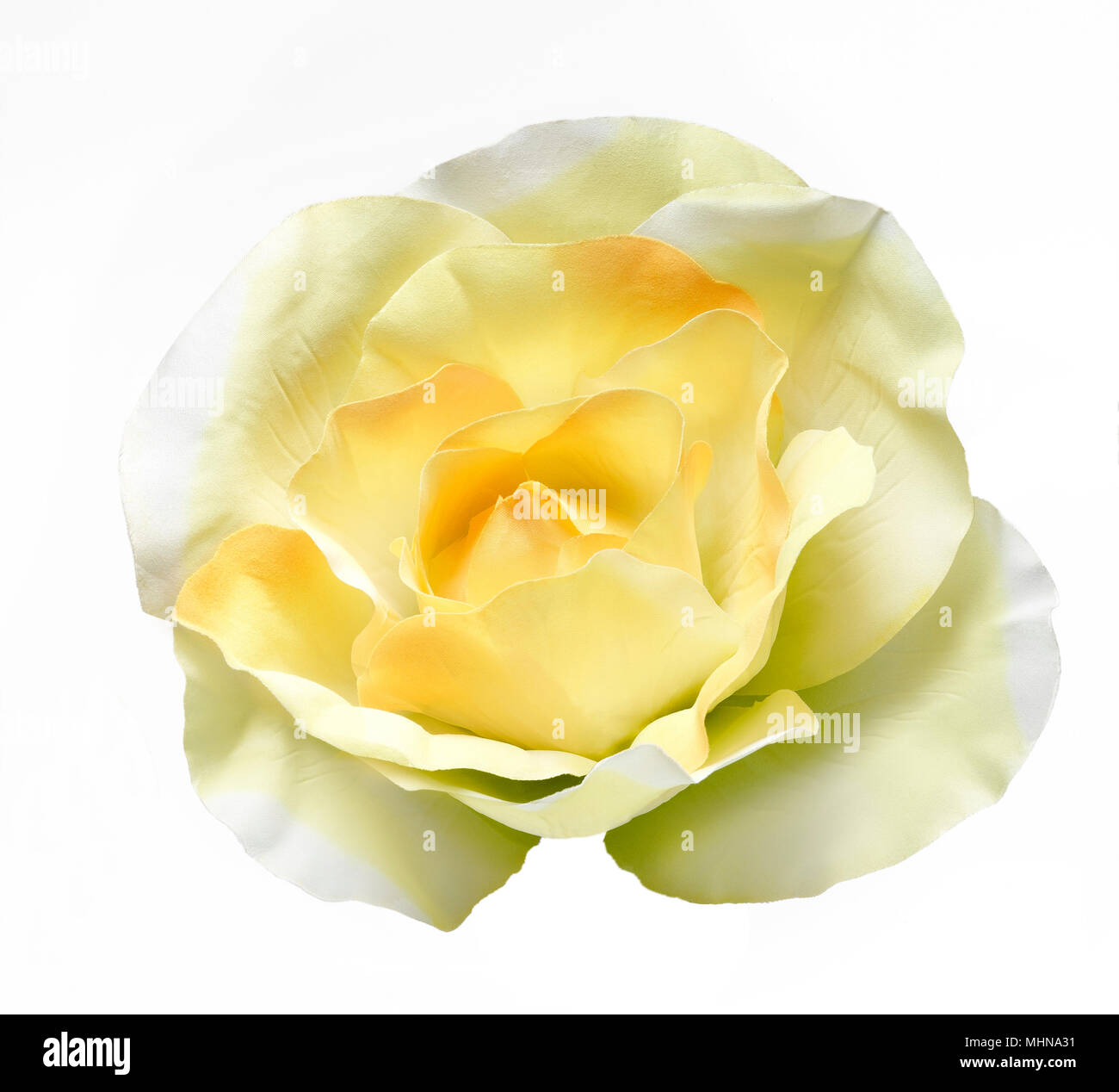Couleur jaune fleur tissu isolé sur un fond blanc. Banque D'Images
