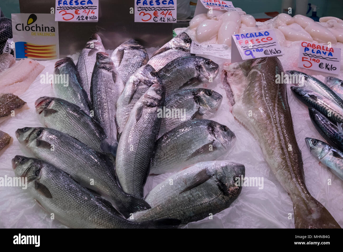 Poisson frais pour la vente au marché Mercado Central, au nord du district de Ciutat Vella, Valence, Espagne. Banque D'Images