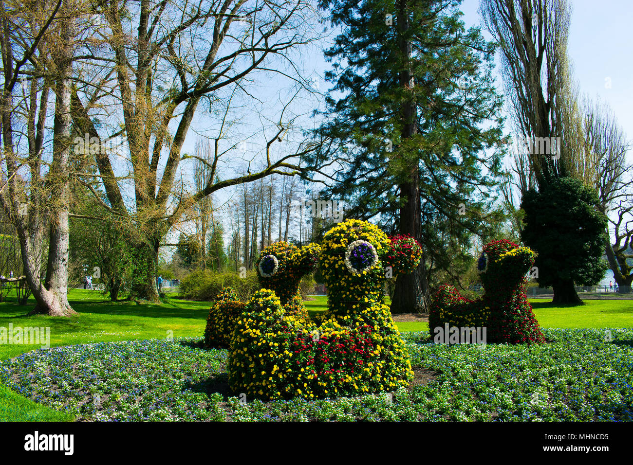 Chiffres floraux de canards sur l'île de Mainau en Allemagne. Banque D'Images