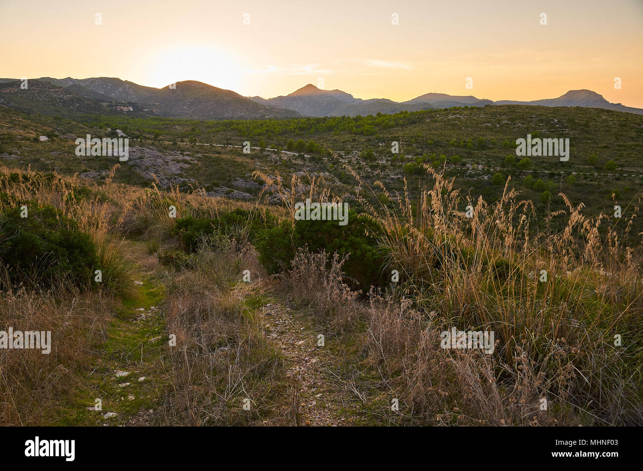 Coucher de soleil sur le sentier près de l'agrotourisme de sa Duaia avec vue panoramique sur les montagnes d'Artà (Majorque, Iles Baléares, Espagne) Banque D'Images