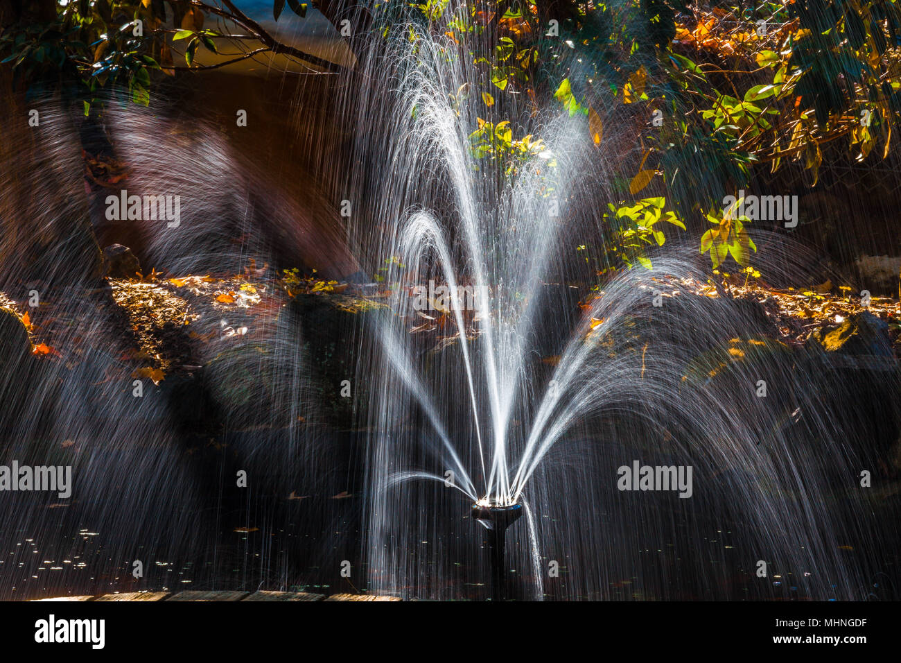 Belle fontaine à eau libre dans un jardin en automne Banque D'Images