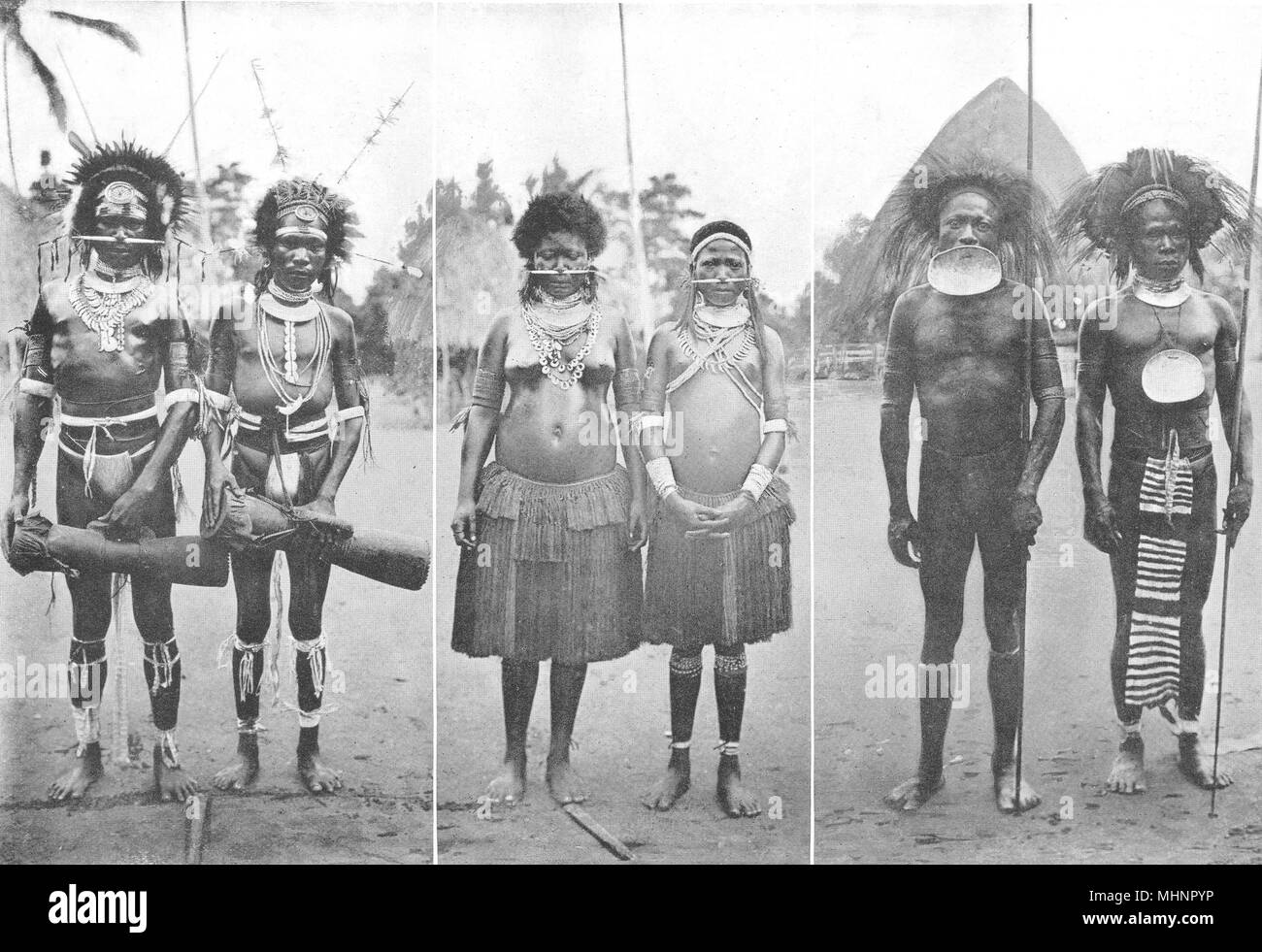 Nouvelle Guinée. Mekeo décoré pour une danse de cérémonie costume de guerre ; 1900 Casoar Banque D'Images