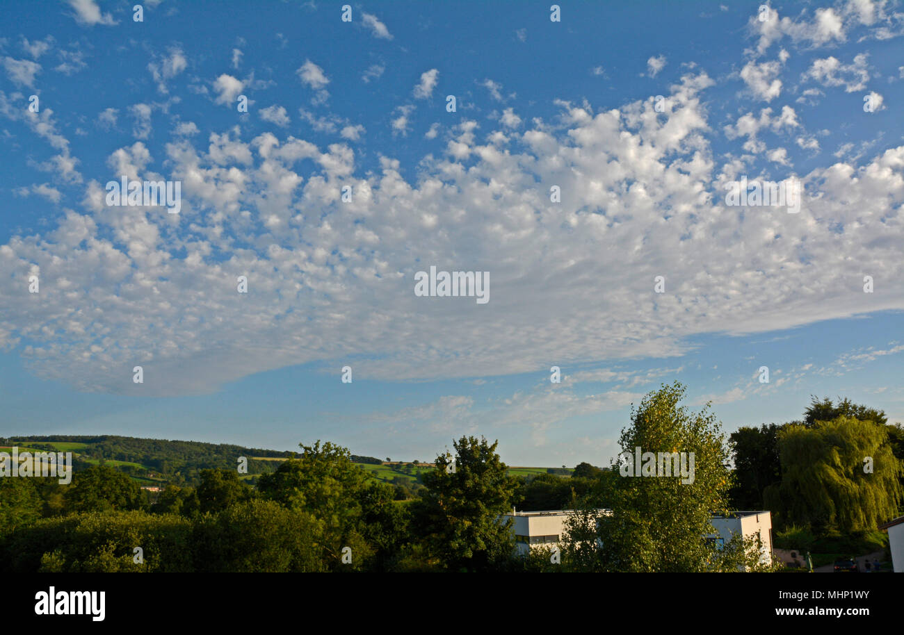 L'Altocumulus floccus nuage au-dessus jazz dans le Devon Banque D'Images