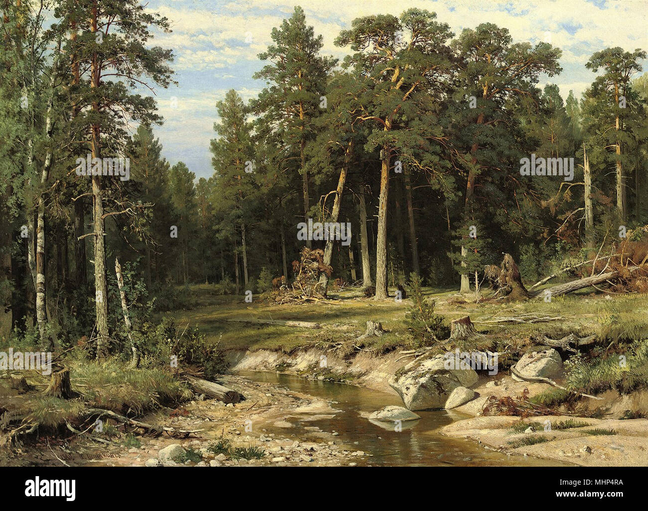 Ivan Chichkine - Mât Forêt de pins dans la province de Viatka 1 Banque D'Images