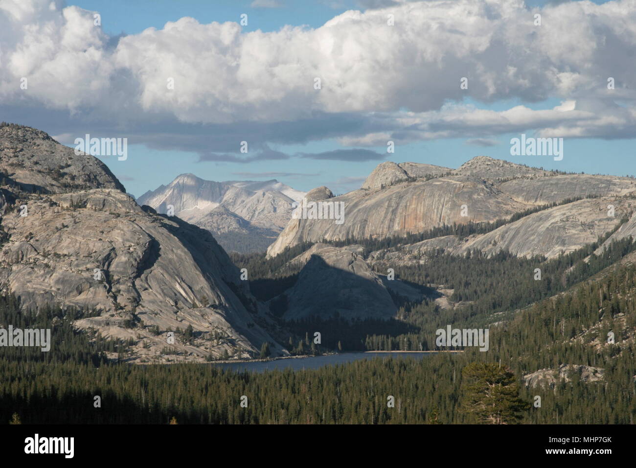 Tioga Pass Sierra Nevada California USA Banque D'Images