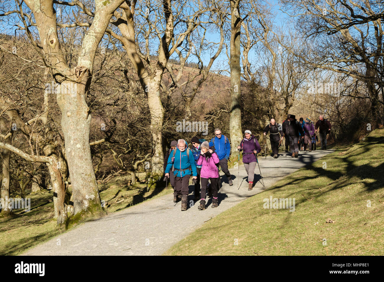 Les promeneurs marchant sur la voie de chemin à Aber Falls ou Rhaeadr Fawr dans Coedydd Aber Réserve naturelle nationale de Snowdonia. Abergwyngregyn Gwynedd au Pays de Galles UK Banque D'Images