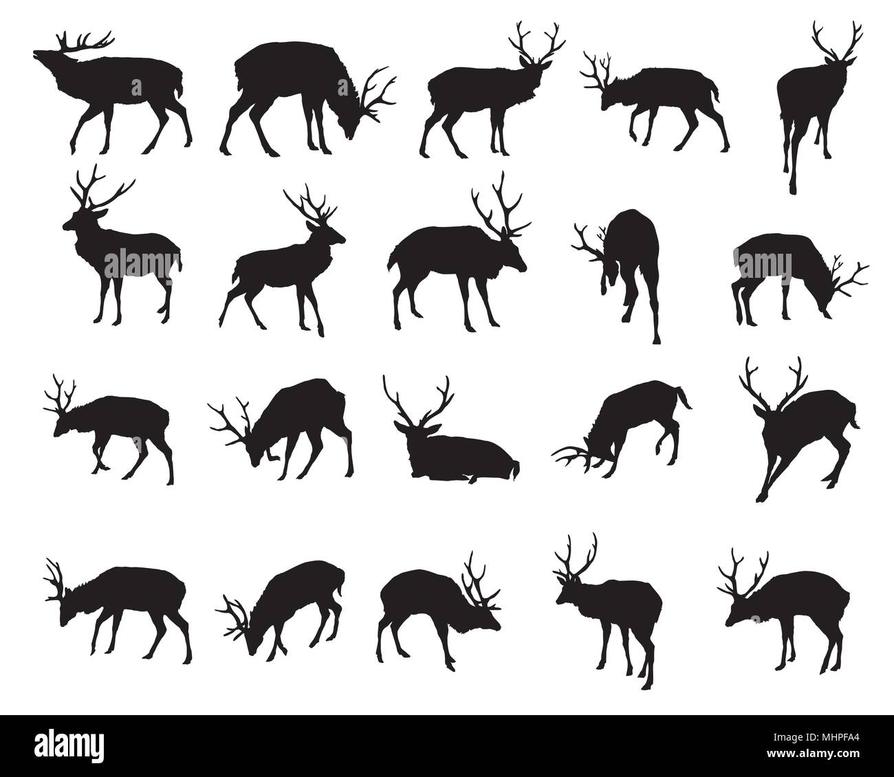 Ensemble de commandes vectorielles et situées à Red Deer silhouettes (mâle) isolé sur fond blanc Illustration de Vecteur