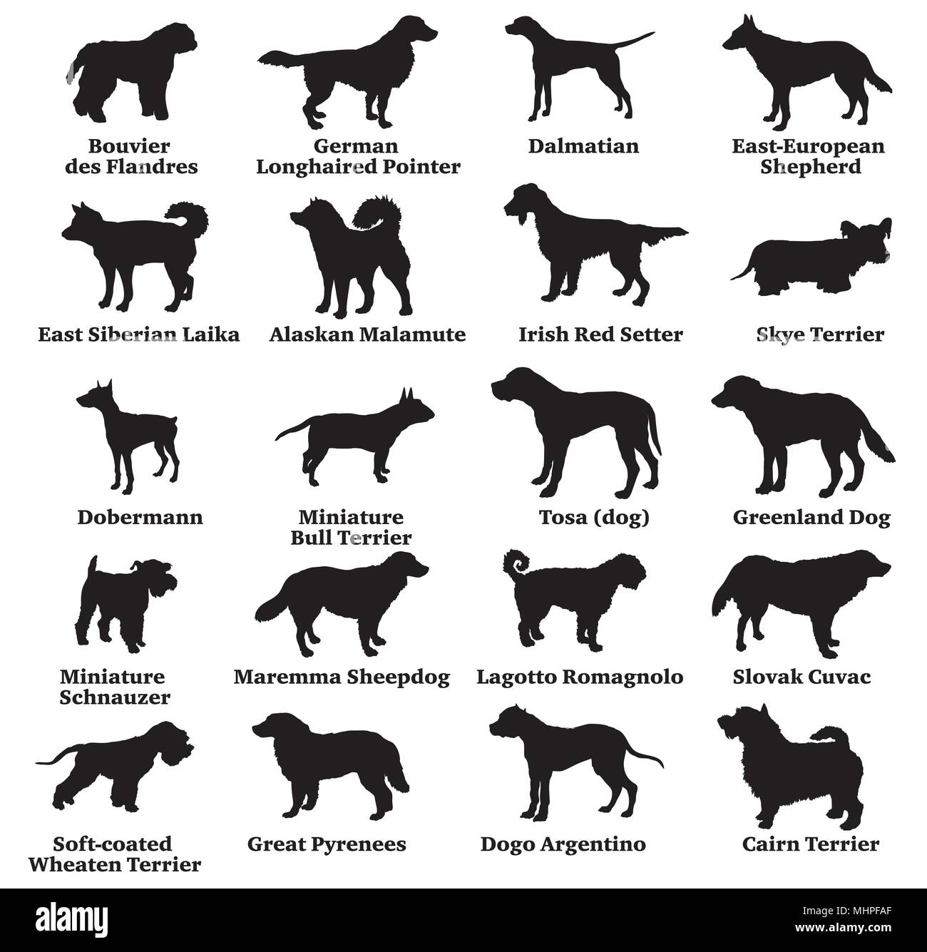 Vector set de chiens de races différentes silhouettes isolées en couleur noire sur fond blanc. Partie 8 Illustration de Vecteur