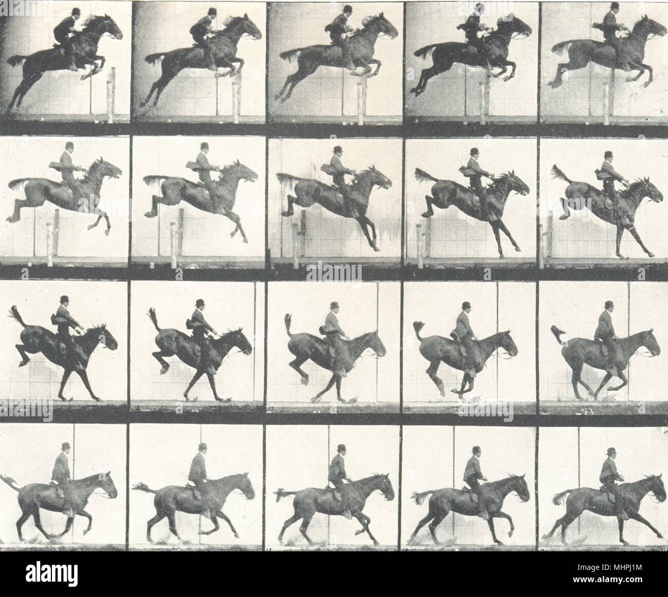 Saut à cheval clôture. Le LEAP. La suspension, l'atterrissage, et de récupération 1912 imprimer Banque D'Images