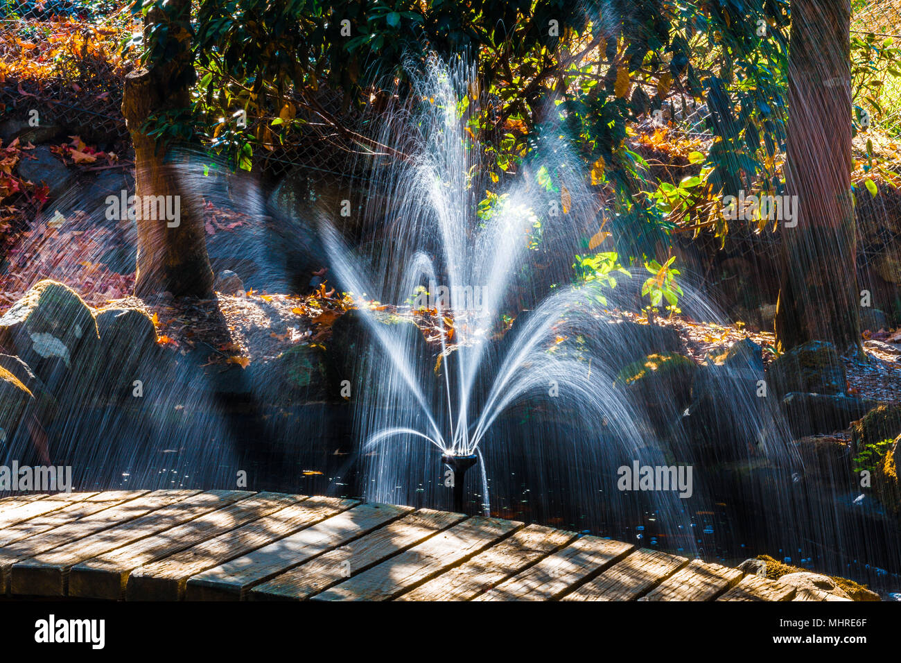 Belle fontaine à eau dans un jardin en automne Banque D'Images