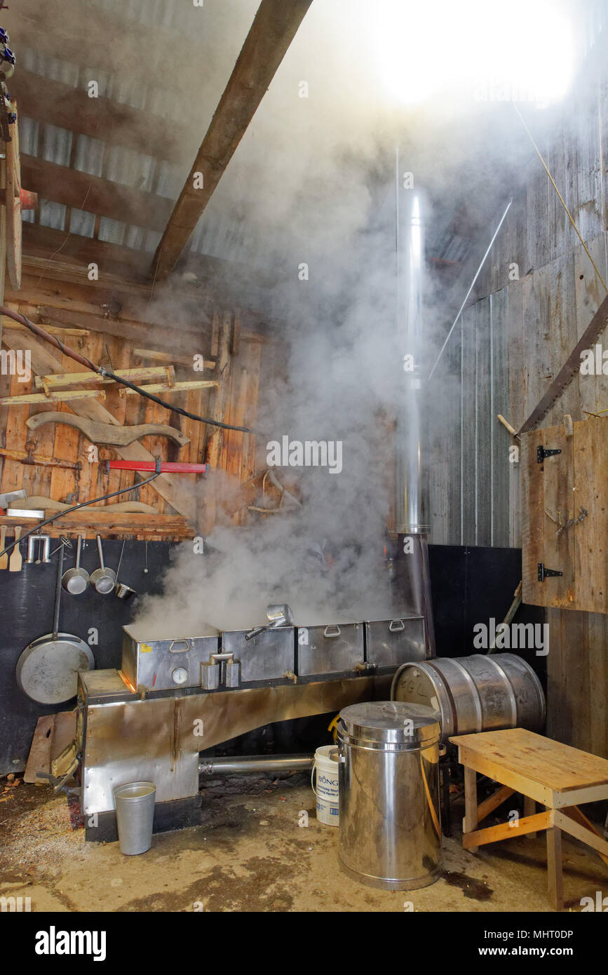 Une chaudière de sirop d'évaporer l'eau d'érable pour faire du sirop d'érable dans une cabane à sucre au Québec, Canada Banque D'Images