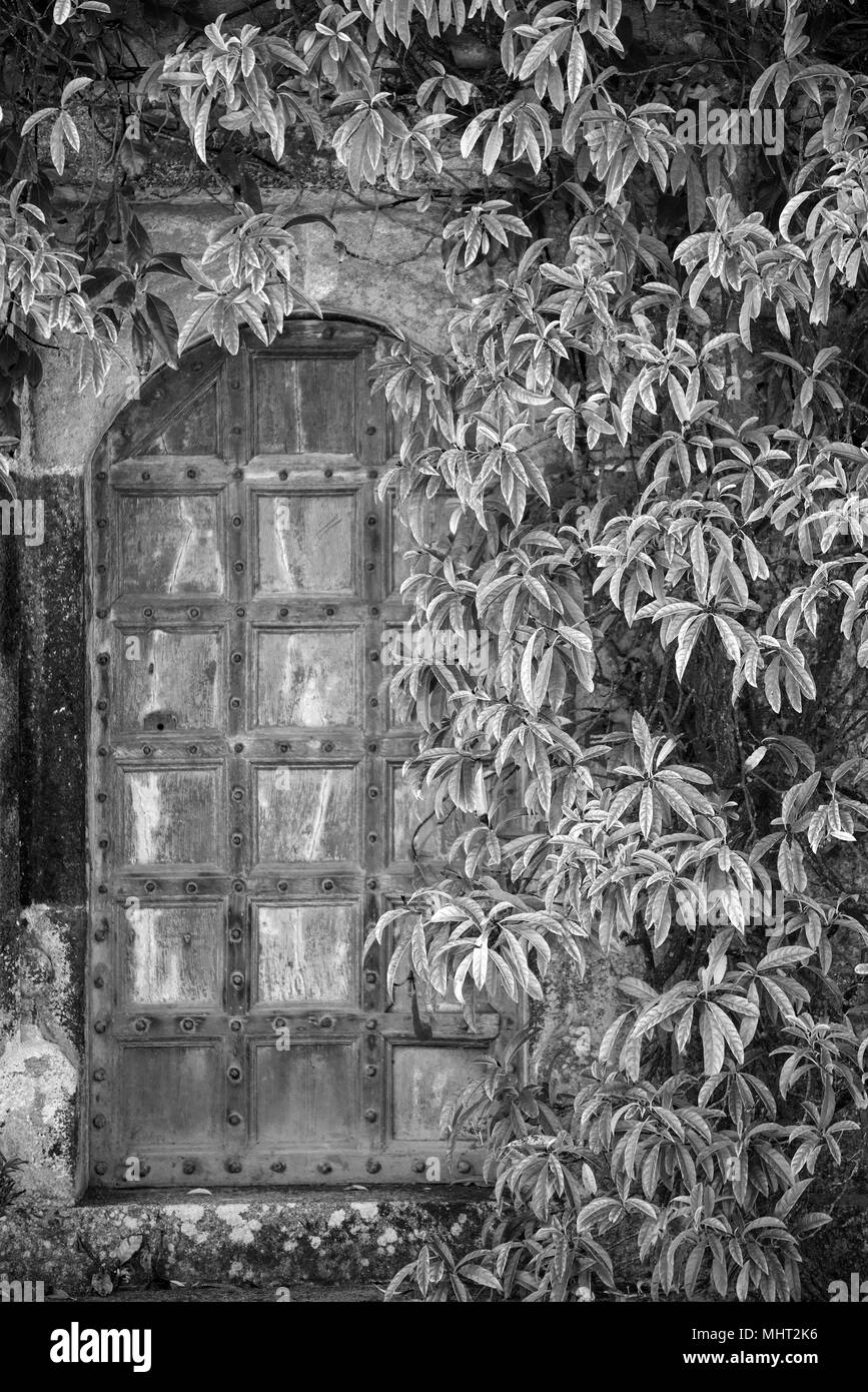 Belle porte d'entrée de style victorien entouré de plantes et d'arbres en noir et blanc Banque D'Images