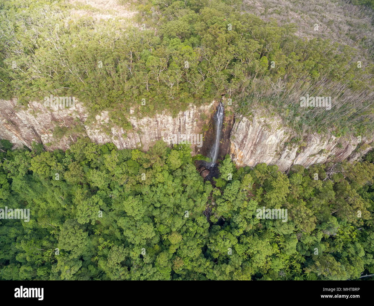 À Rainbow Falls Parc national de Springbrook - Forêts humides Gondwana de l'UNESCO World Heritage Area, Queensland, Australie Banque D'Images