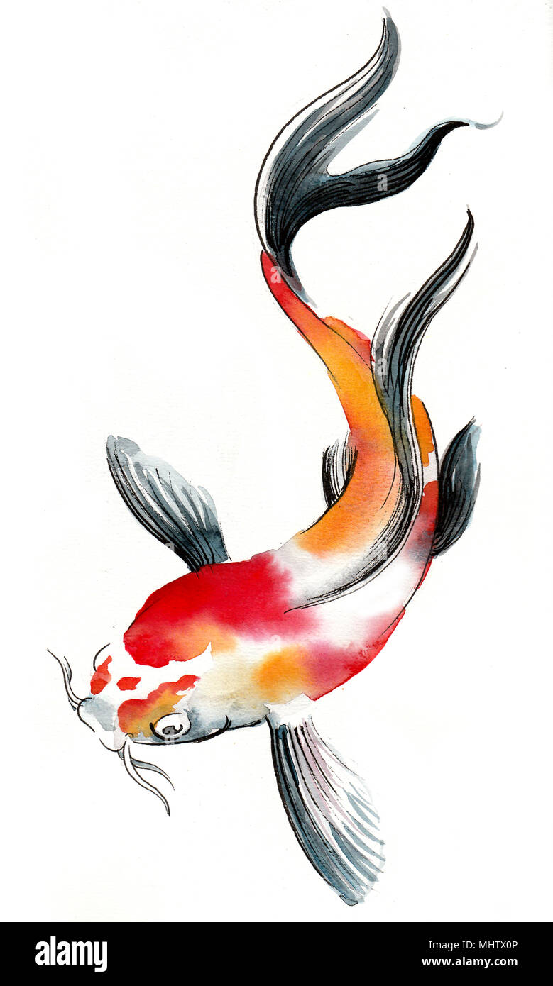 Aquarelle poisson koi. Encre et aquarelle illustration Banque D'Images