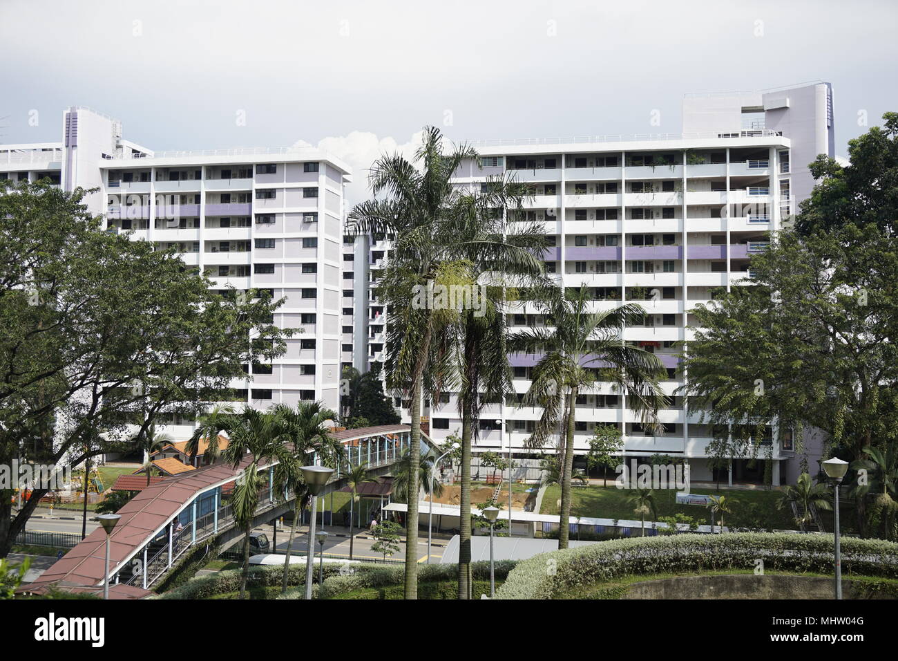 HDB flats dans Ang Mo Kio, Singapour Banque D'Images