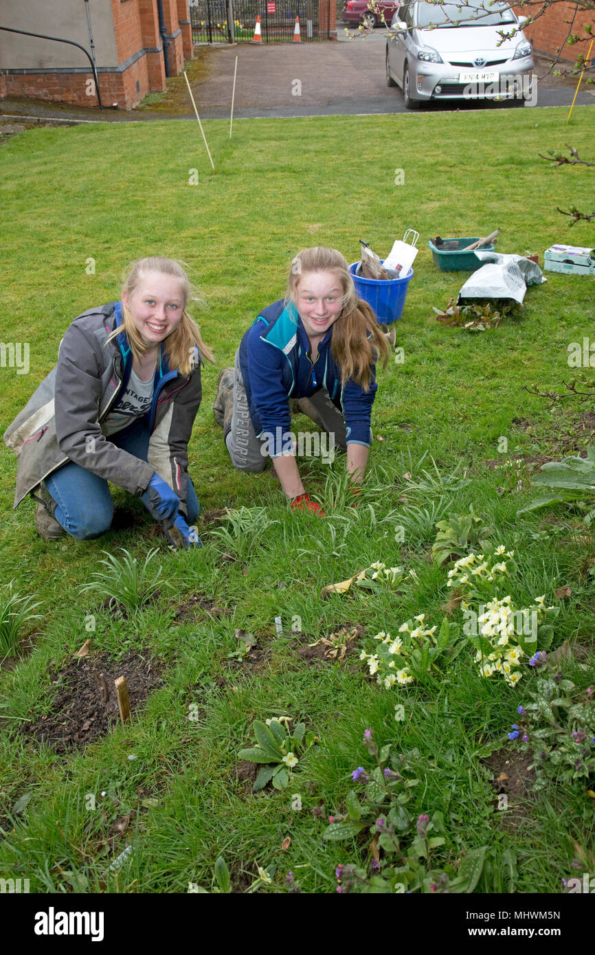 Deux adolescentes sourire primevères plantation nouvelle église dans le jardin communautaire de la faune Mickleton UK Banque D'Images