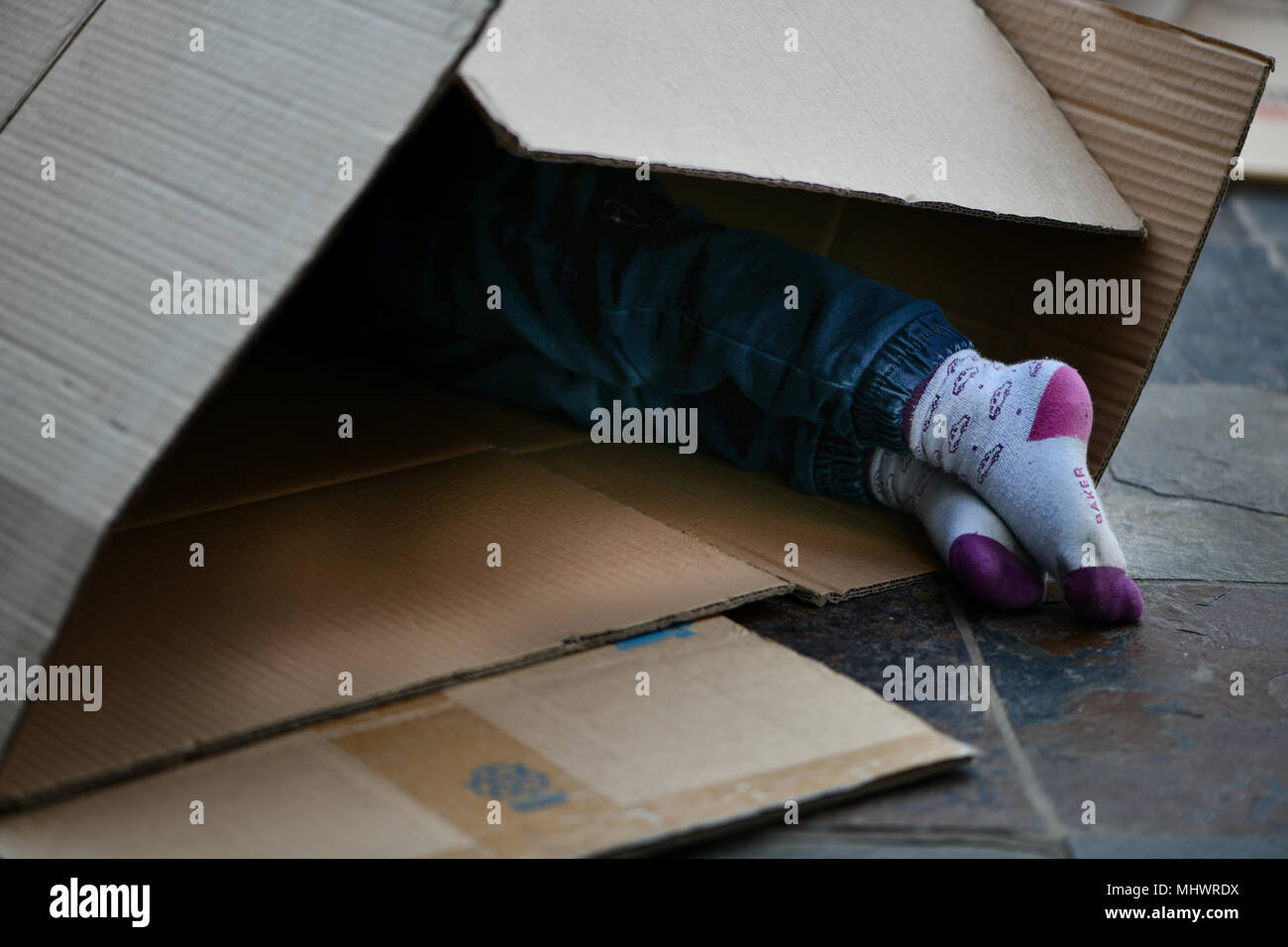 Les enfants de se cacher en boîte carton whilst moving house Banque D'Images