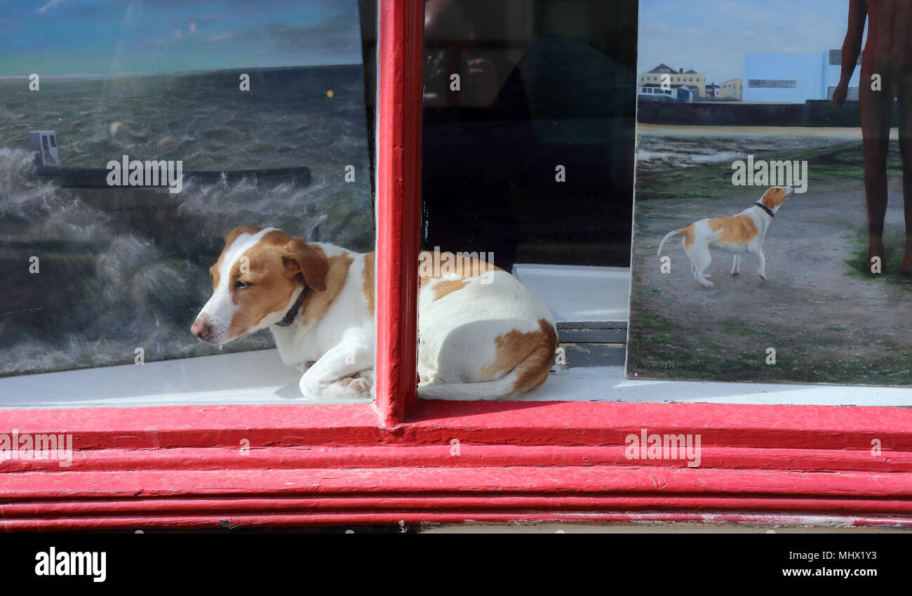 Quel est ce toutou dans la fenêtre ? Petit chien marron et blanc dans une vitrine dans Margate, Kent, aux côtés d'une peinture du même animal. Banque D'Images