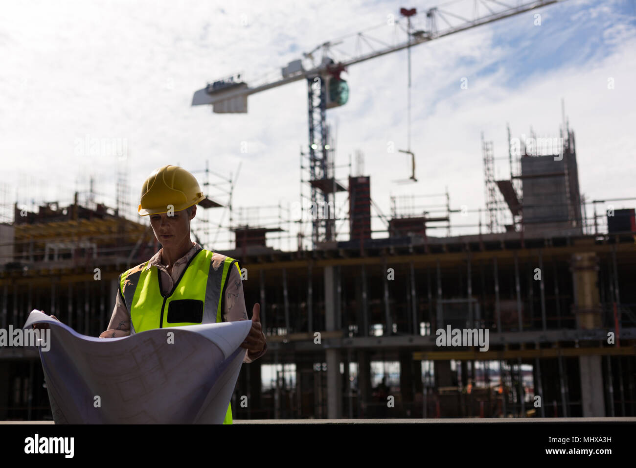 Architecte plan de contrôle femelle Banque D'Images