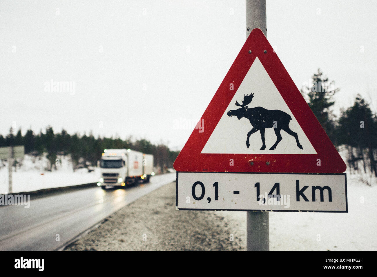 La Norvège signe de route moose Banque D'Images