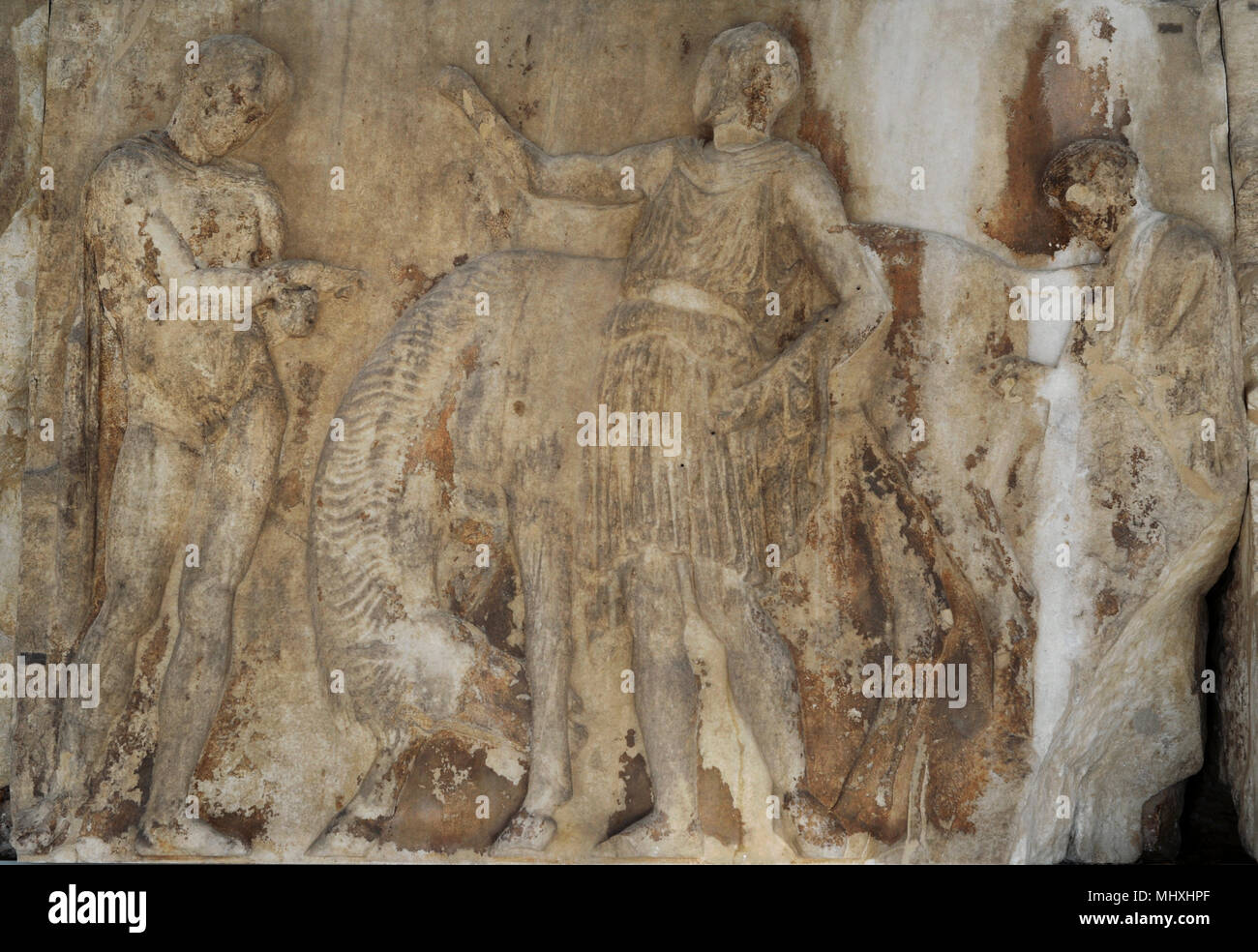 Frise ouest du Parthénon, l'acropole d'Athènes. La Grèce. Bloc W XII, figures 22 à 24. Préparation de la procession de l'Panateneas. Herald (23), cavalier (22), maîtrise himation (24). Musée de l'Acropole. Athènes. La Grèce. Banque D'Images