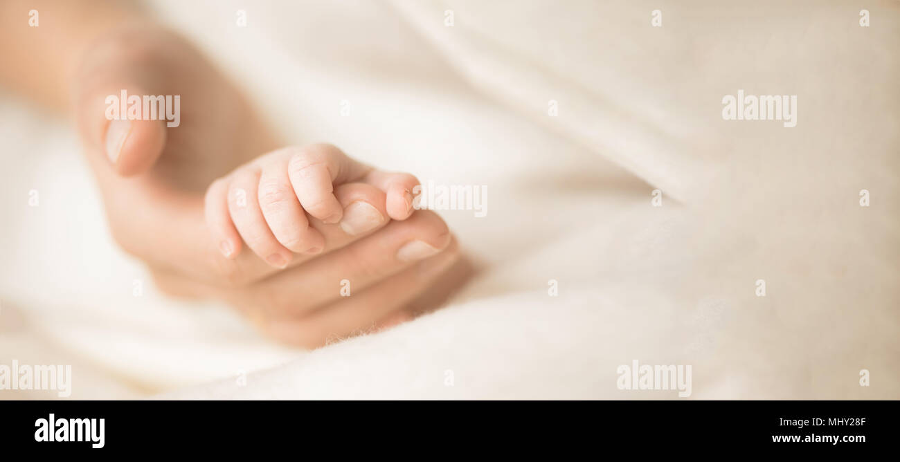 Femme main tenant la main de son nouveau-né. Maman avec son enfant. La maternité, la naissance, la famille concept. Copie de l'espace pour votre texte. Banner Banque D'Images