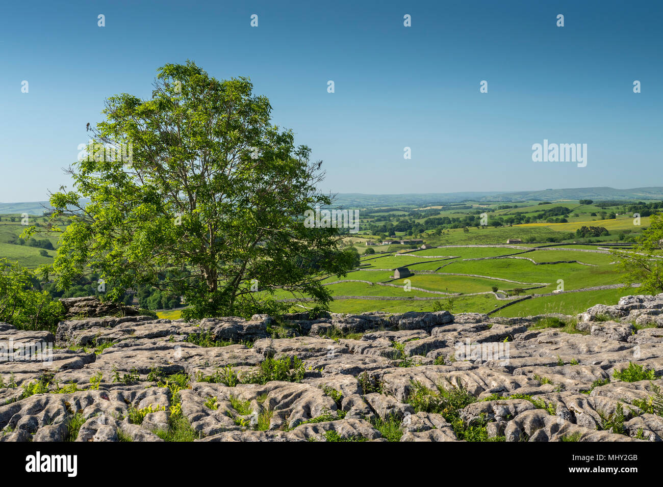 Malham Cove Malham Craven North Yorkshire Angleterre Banque D'Images